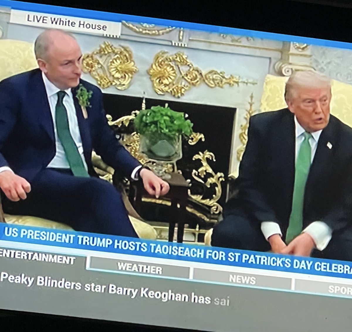 Amanda Lynch 🇵🇸🍉🇵🇸 tweet media