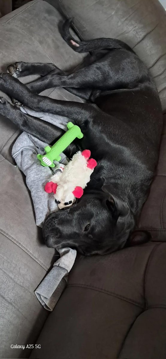 Sara Mary ⭐❤️ tweet media