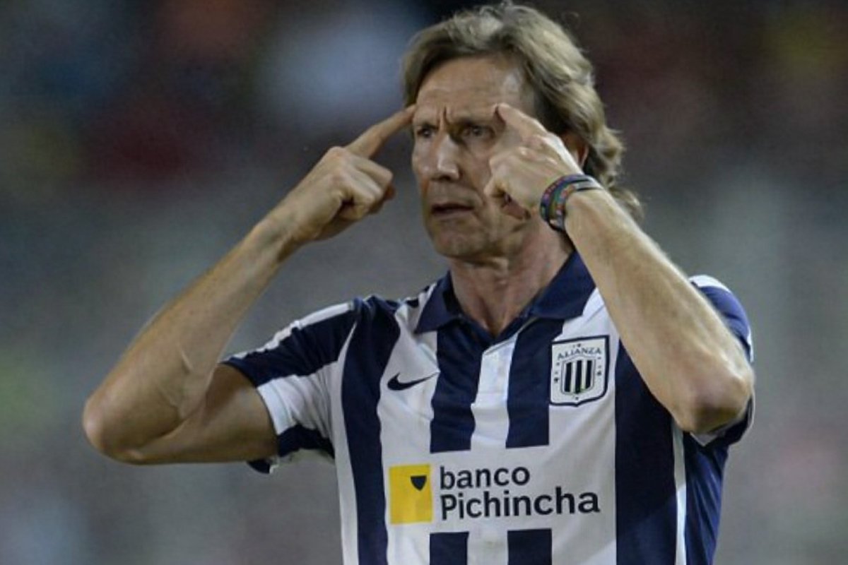 El Gato Grone tweet media