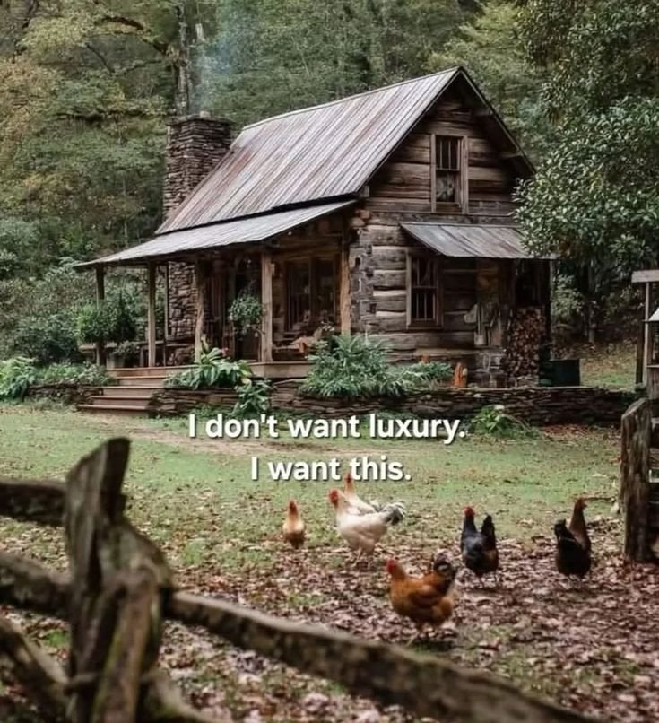 Mountain Cabins tweet media