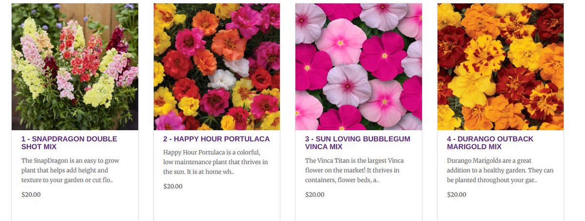 Springfield School District tweet media