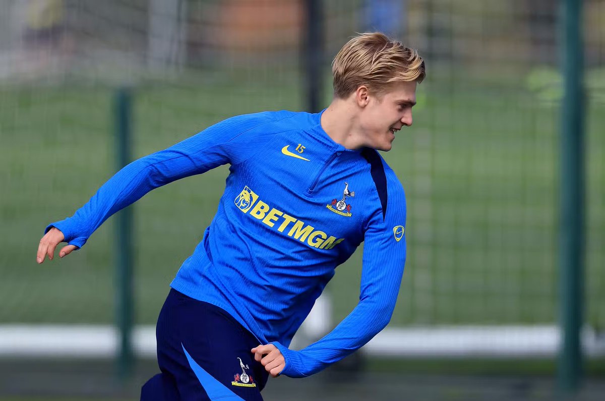 🇸🇪 tweet media