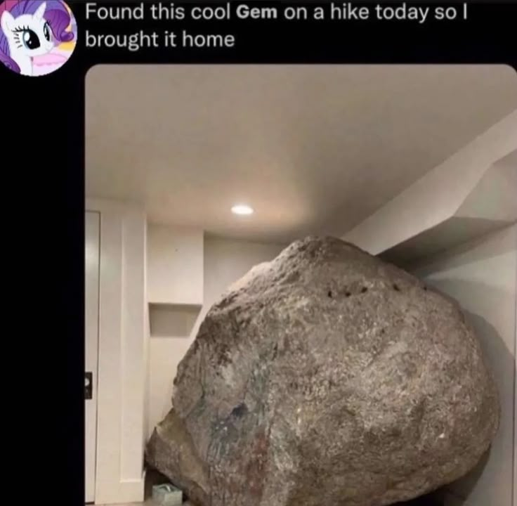 entron_tt tweet media