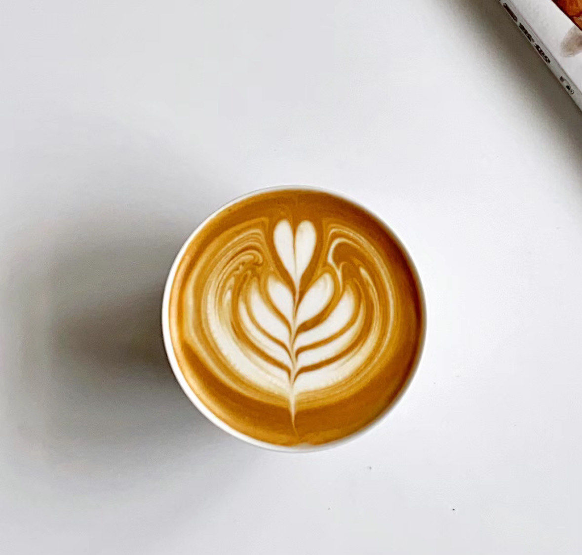 totalphatness tweet media