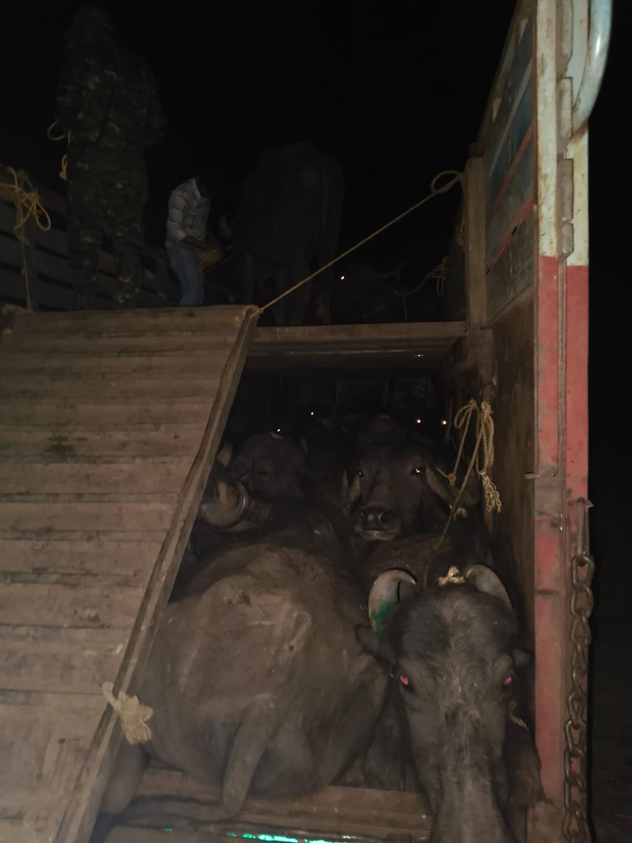 SP_Mandla tweet media