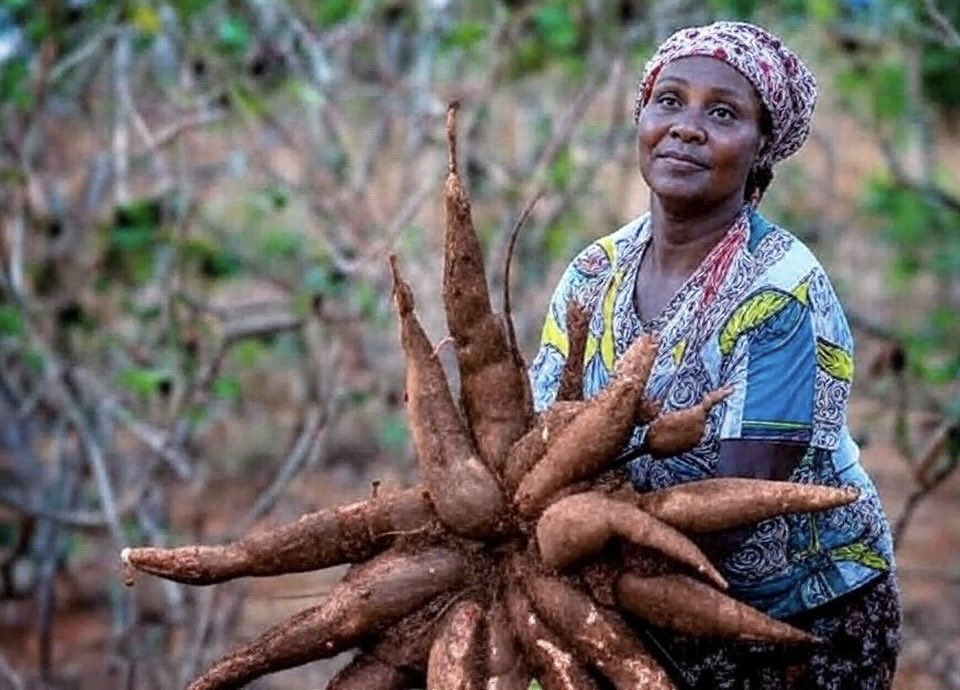 𝐏𝐡𝐢𝐥𝐢𝐩 𝐓𝐞𝐭𝐭𝐞𝐡 𝐐𝐮𝐚𝐫𝐬𝐡𝐢𝐞, 𝐏𝐡𝐃 tweet media