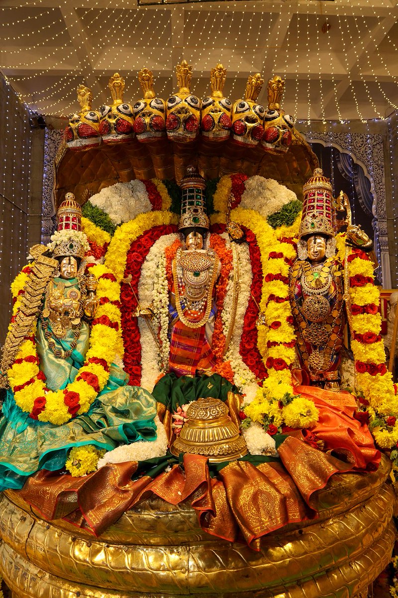 Tirumala Tirupati Devasthanams tweet media