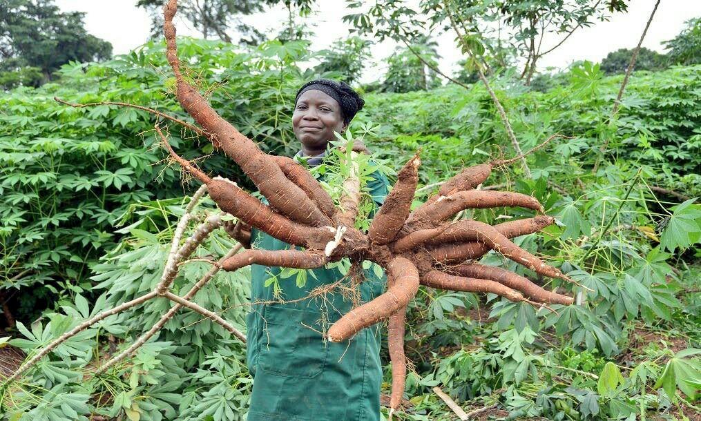 𝐏𝐡𝐢𝐥𝐢𝐩 𝐓𝐞𝐭𝐭𝐞𝐡 𝐐𝐮𝐚𝐫𝐬𝐡𝐢𝐞, 𝐏𝐡𝐃 tweet media