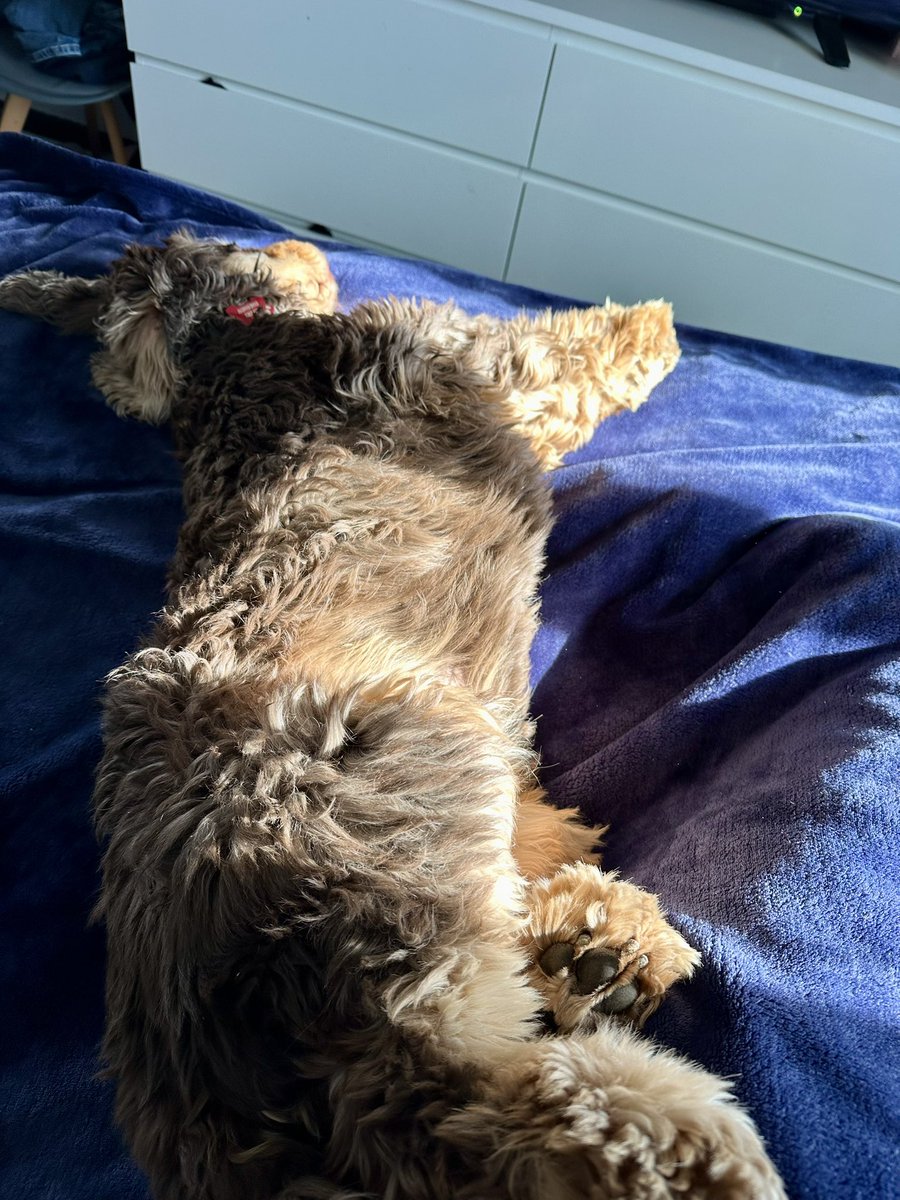 RobertLeCocker tweet media