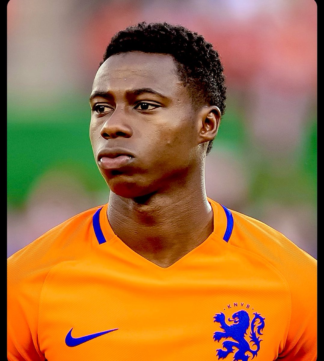 Bridge Reports tweet media