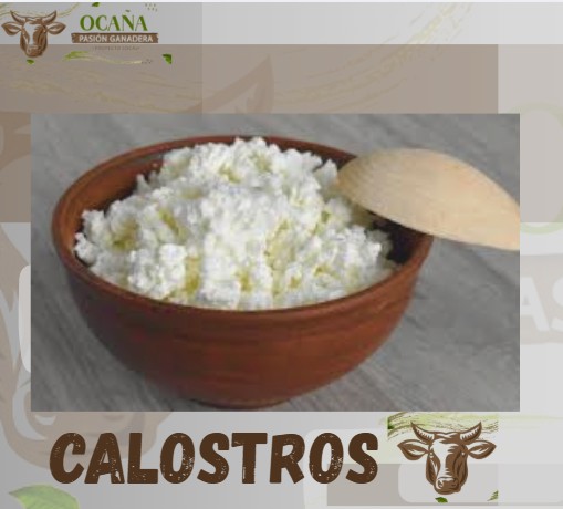 PL OCAÑA-PASION GANADERA tweet media