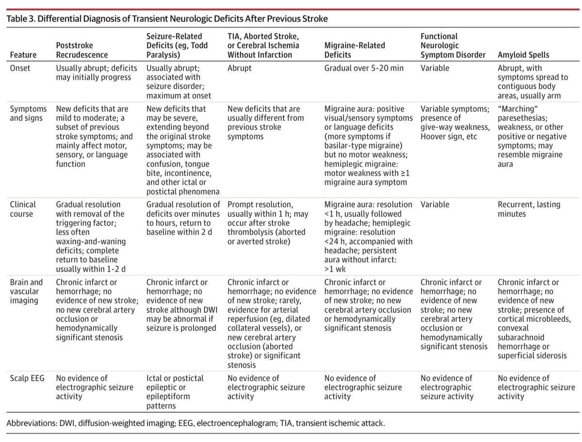 INTERNEURONA tweet media