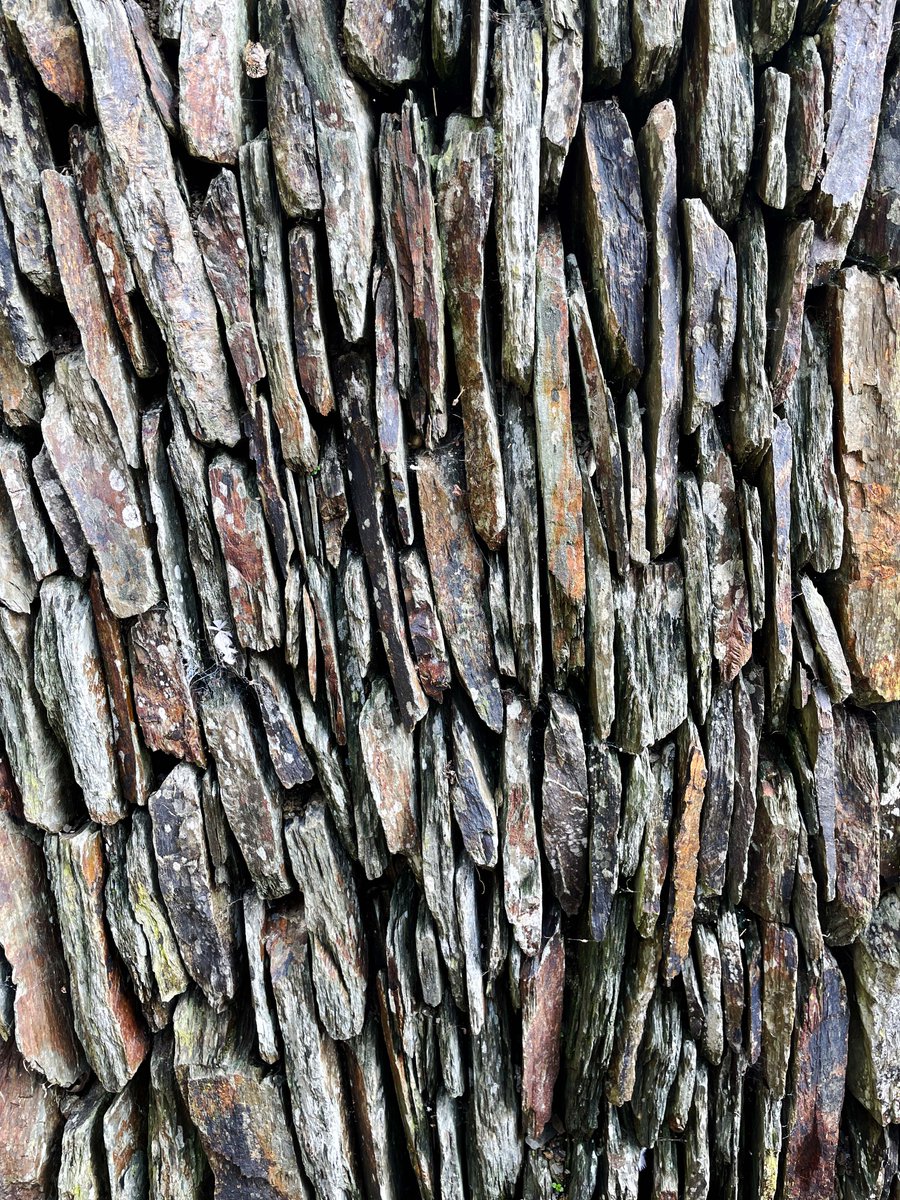 Jonathan Rhind tweet media