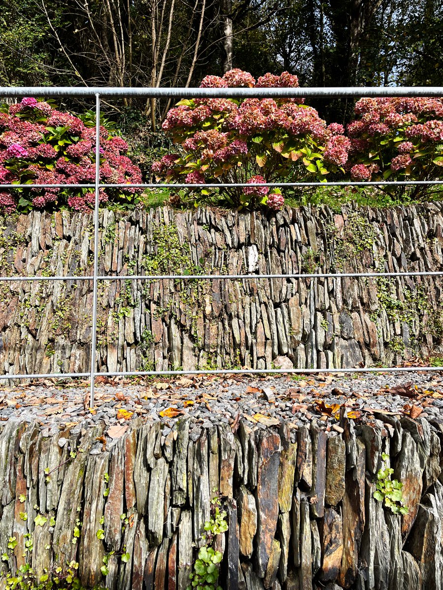 Jonathan Rhind tweet media