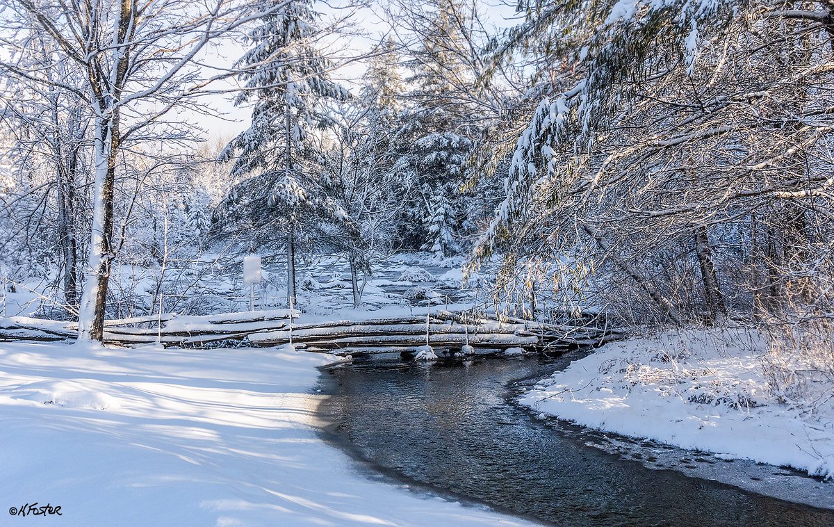 Harry Foster tweet media