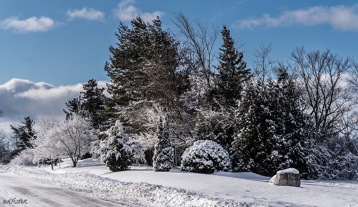 Harry Foster tweet media