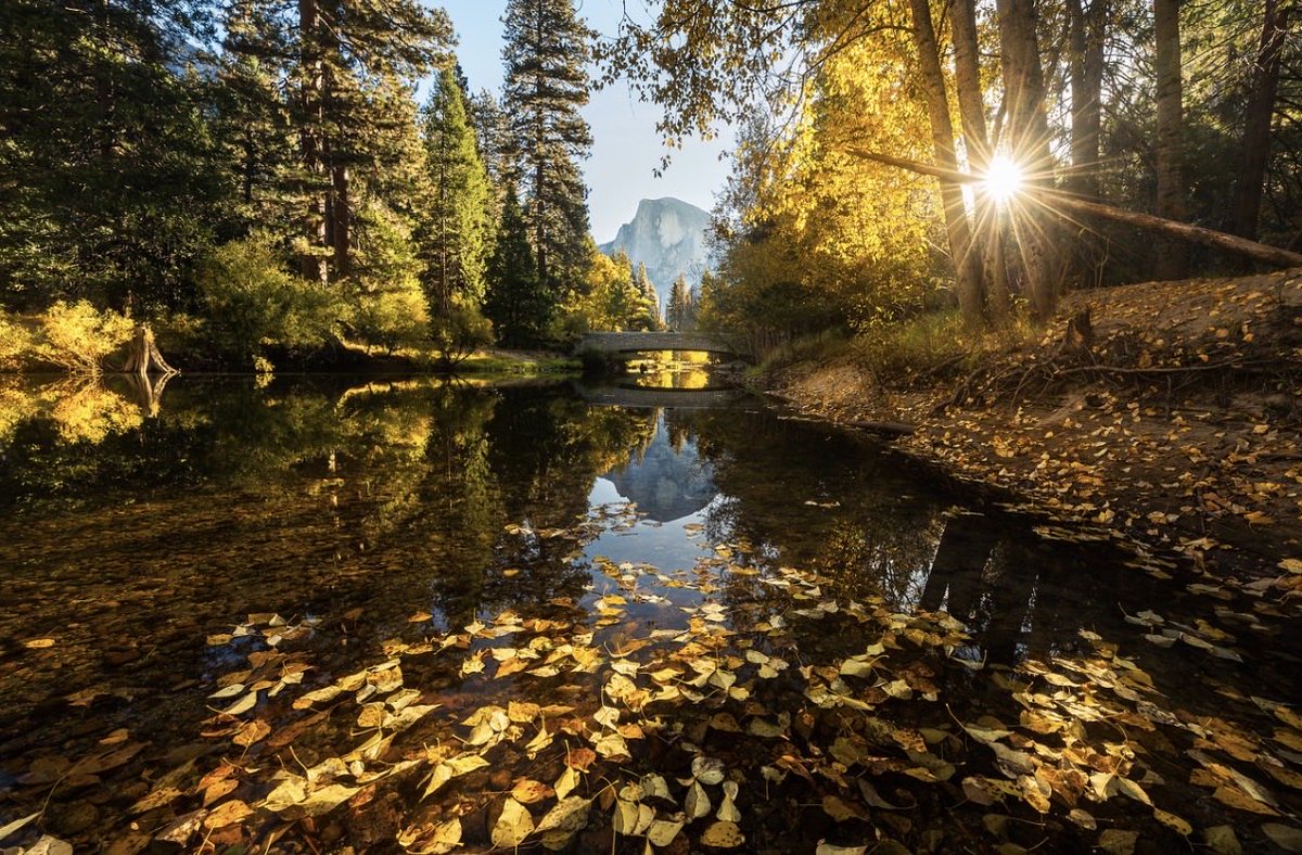 Brandon Yoshizawa tweet media