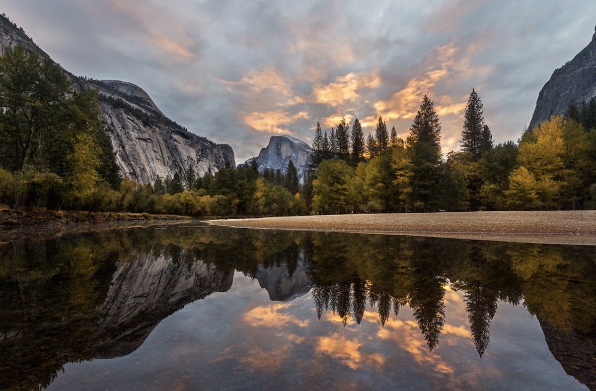 Brandon Yoshizawa tweet media