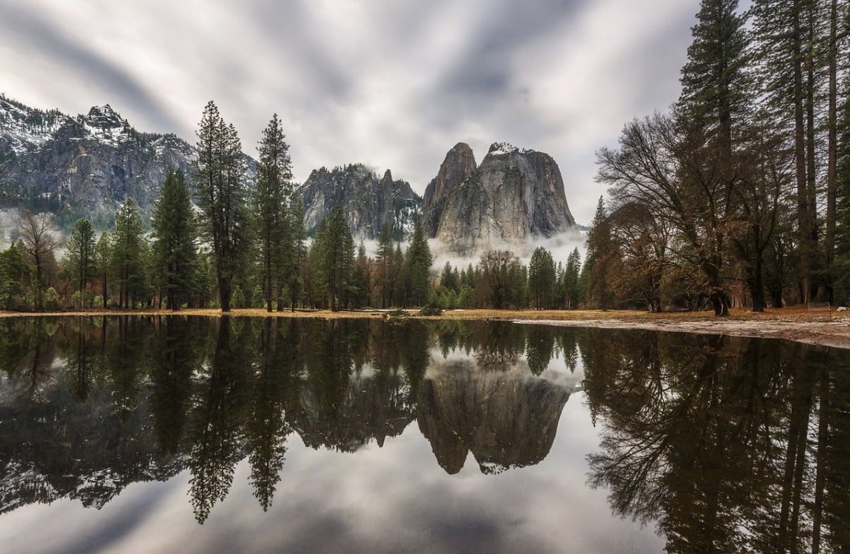 Brandon Yoshizawa tweet media