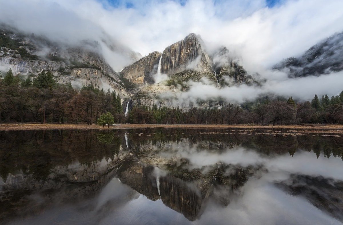 Brandon Yoshizawa tweet media