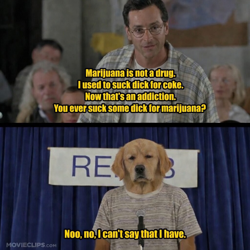 Dryersheetz tweet media