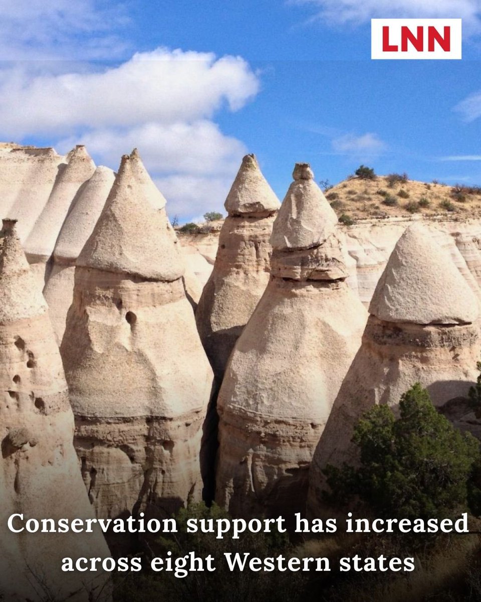 Hugo Balta 🤠 tweet media