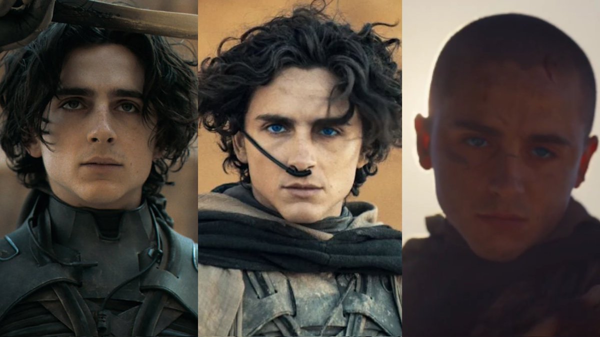 Timothée Chalamet Updates tweet media