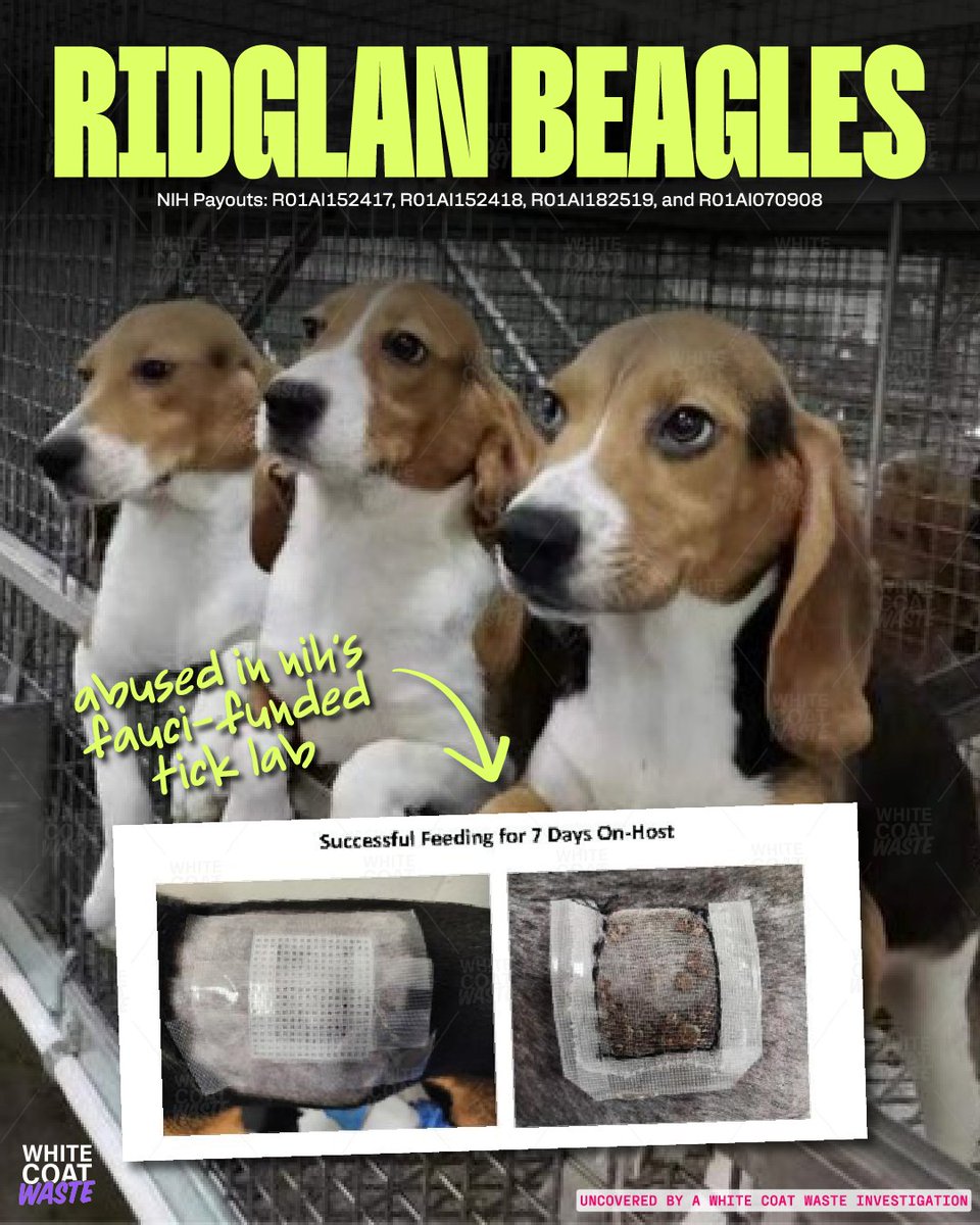 White Coat Waste tweet media