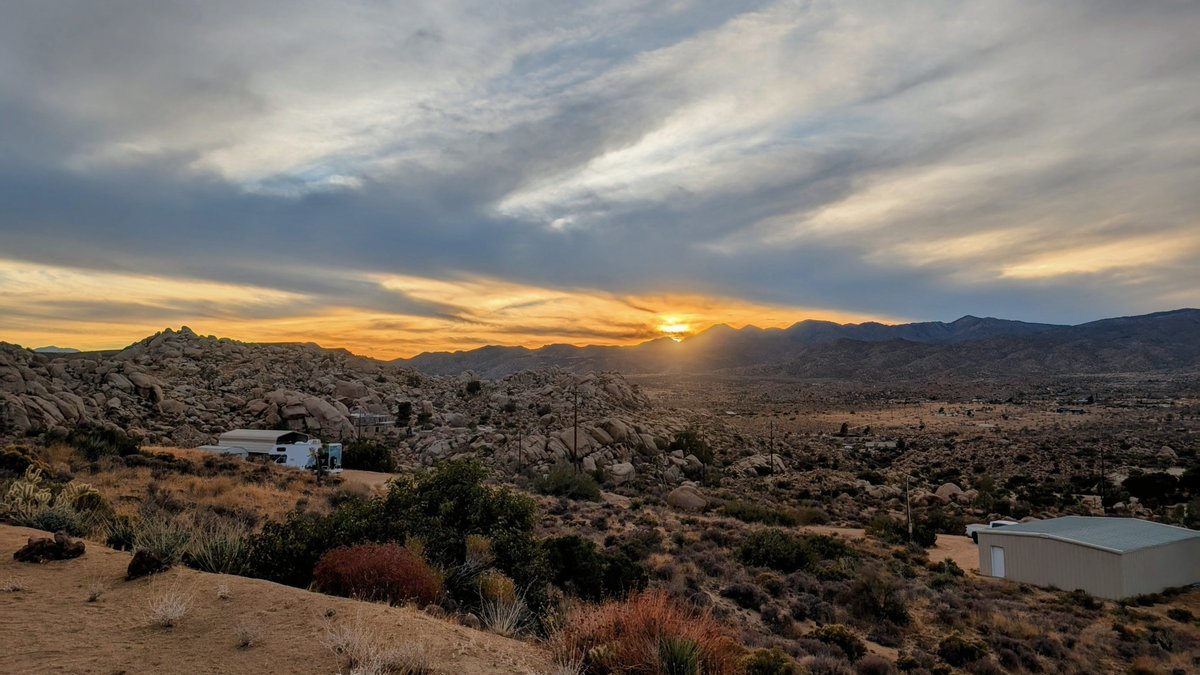 AngryRed Inc tweet media