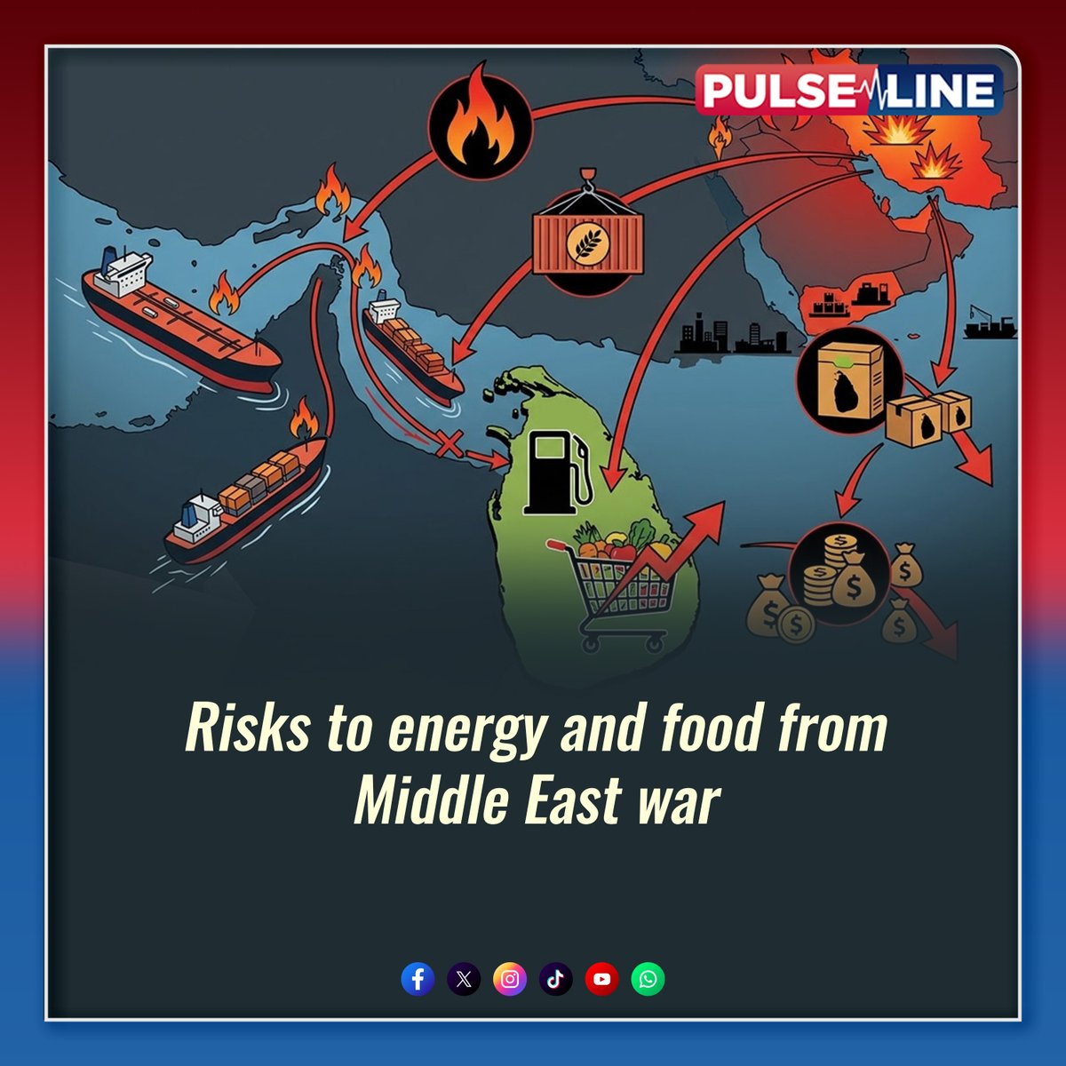 PulseLine Sri Lanka tweet media