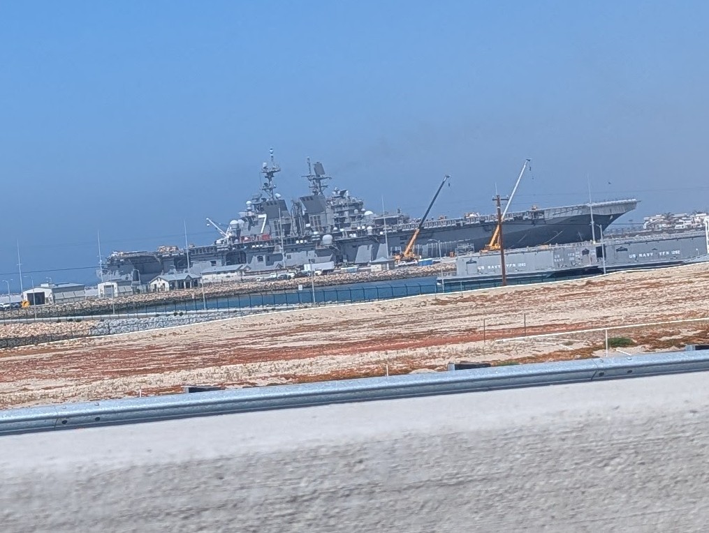 Not That Steve-O tweet media