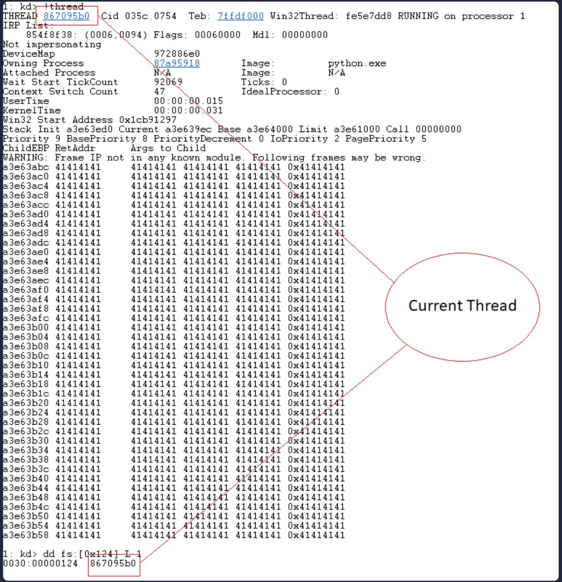 eleven red pandas tweet media