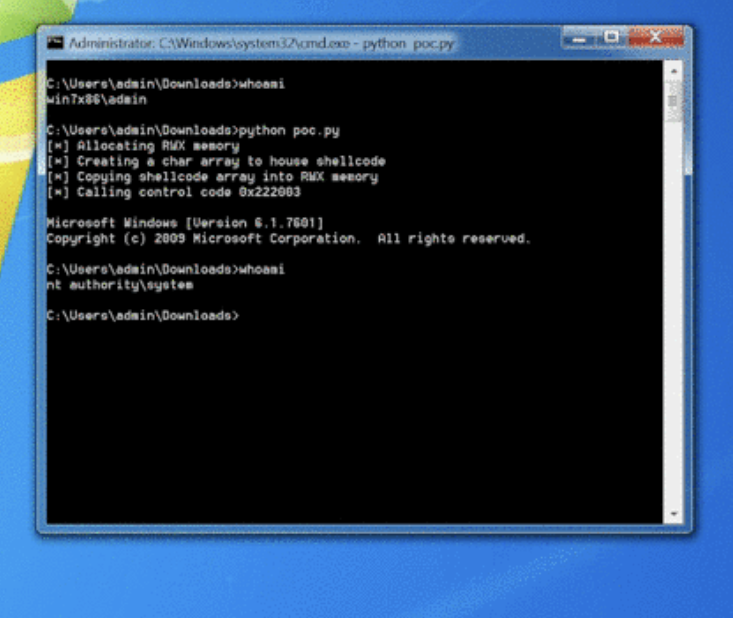 eleven red pandas tweet media