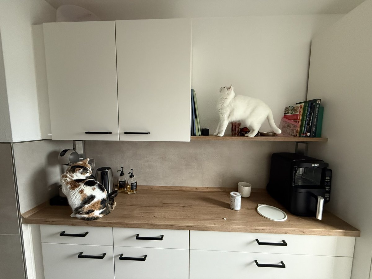 Joy 🧡 tweet media