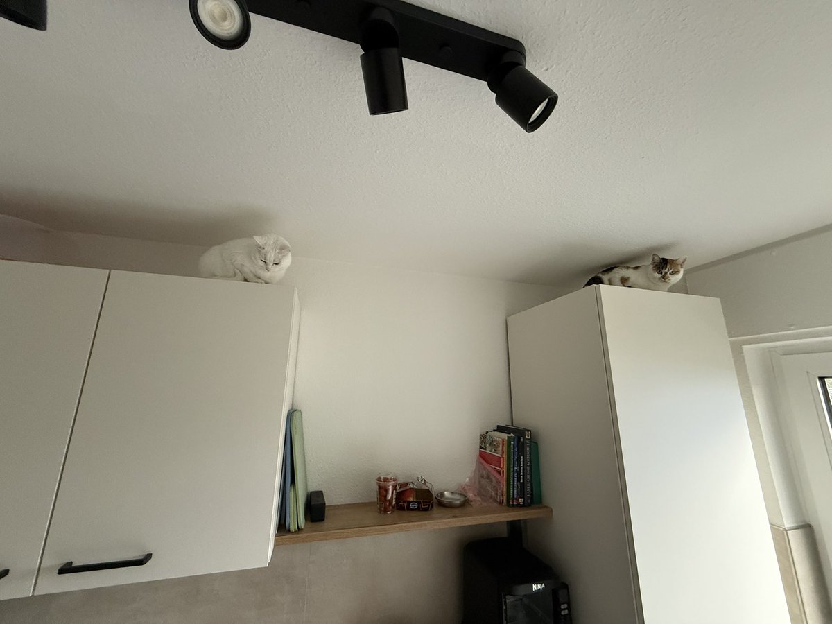 Joy 🧡 tweet media