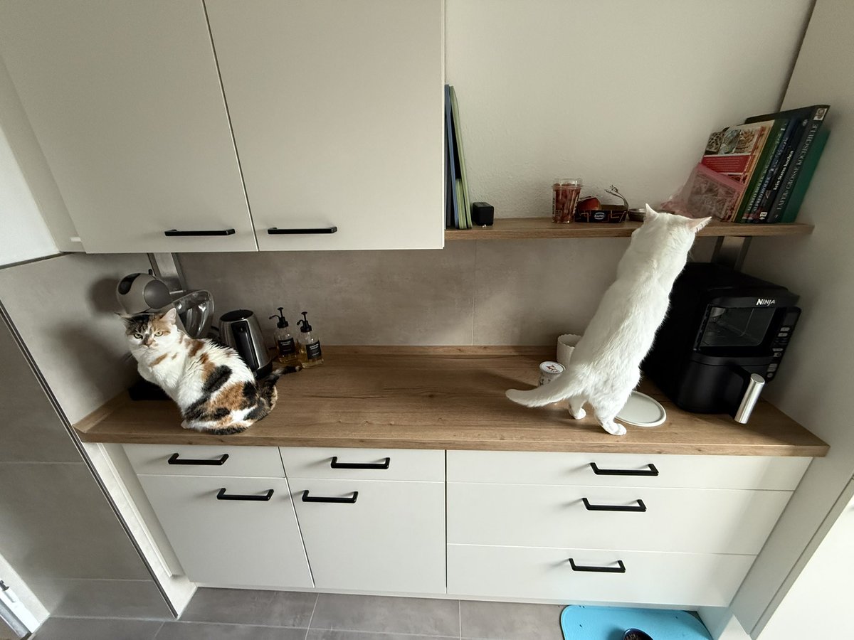 Joy 🧡 tweet media