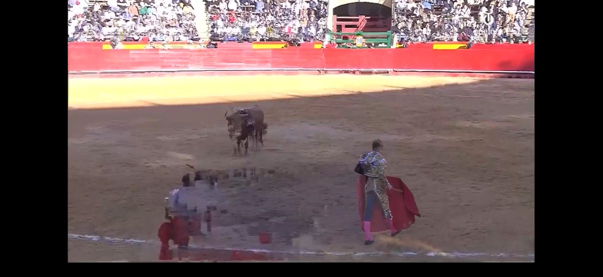 Unaigarciarived's tweet photo. Qué vergüenza @OneToroTV así toda la tarde y encima se va la señal.
Para lo que costáis ya podríais tener un poquito de honor y devolver el dinero, una mierda de programación fuera de las ferias y ahora las que dais se va la señal
#onetorodirecto https://t.co/wqrqsyGSQv