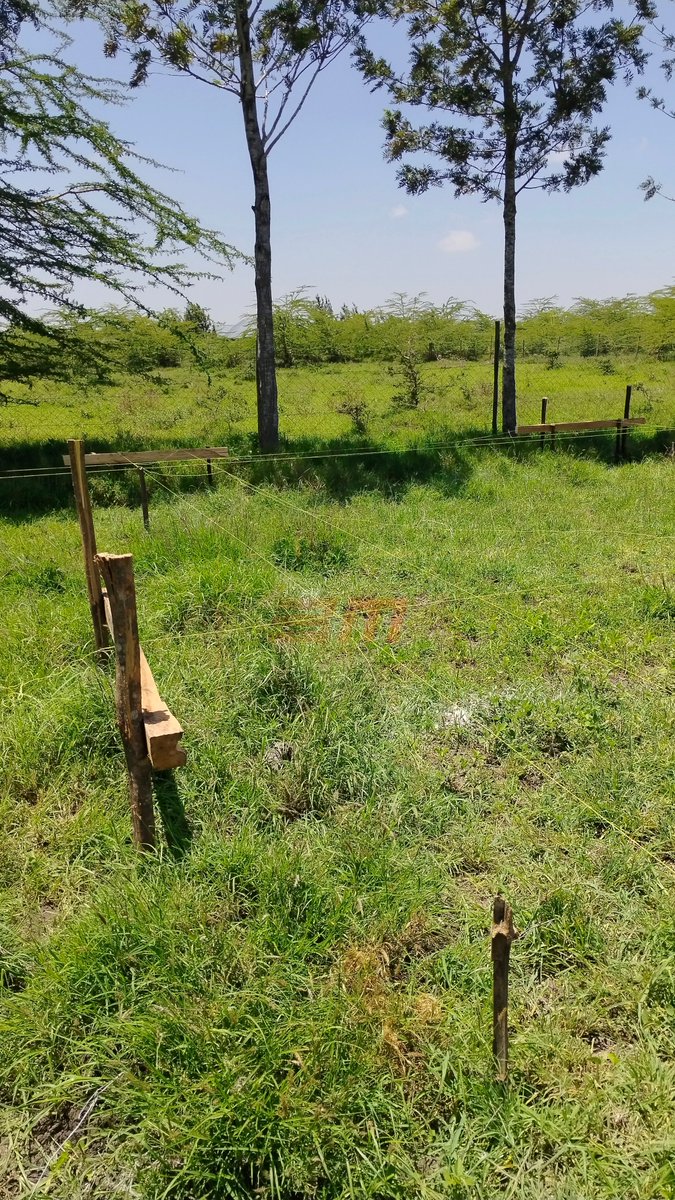 BUILD MOLD CRAFTERS tweet media