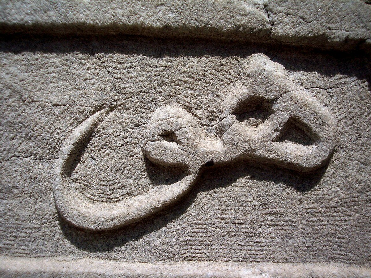 Fred Björn tweet media