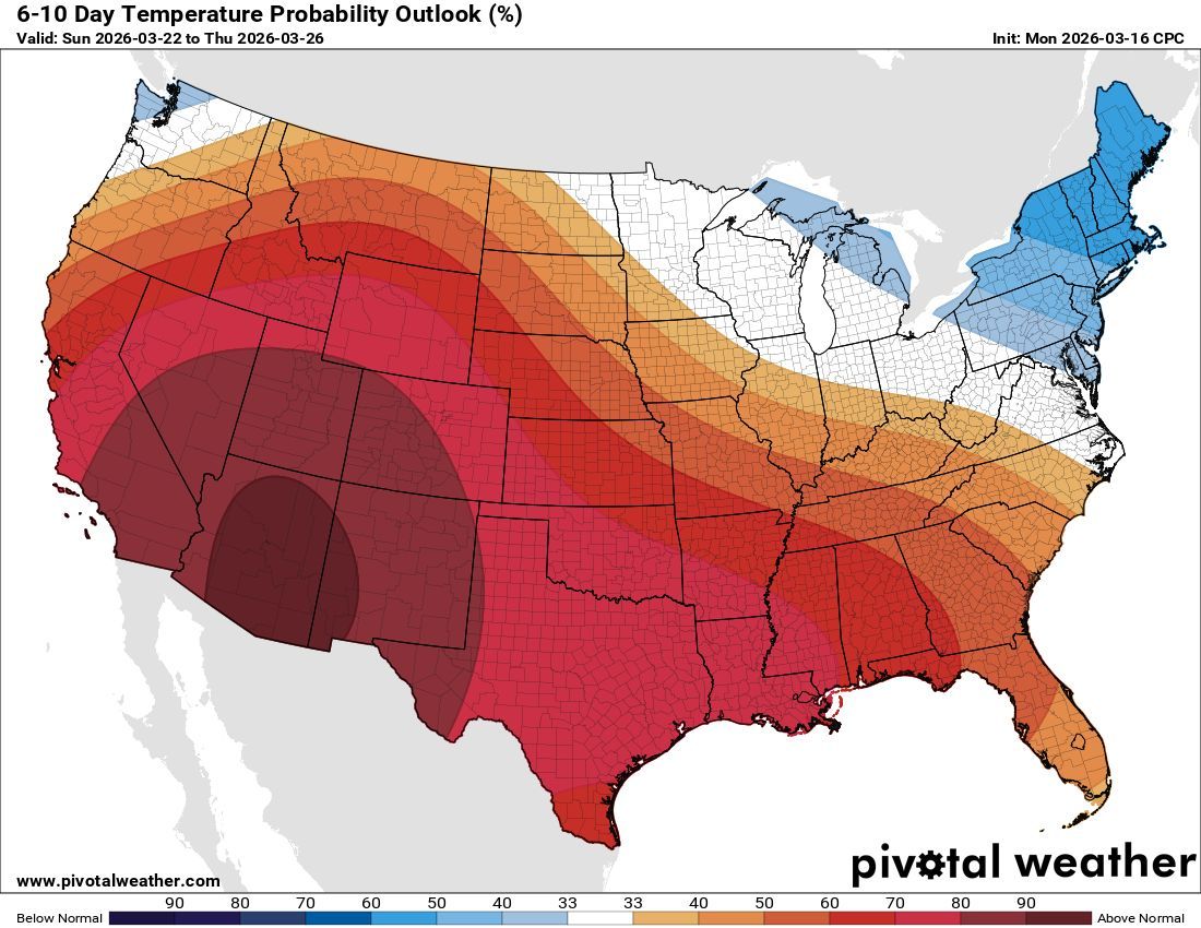 Max Velocity tweet media