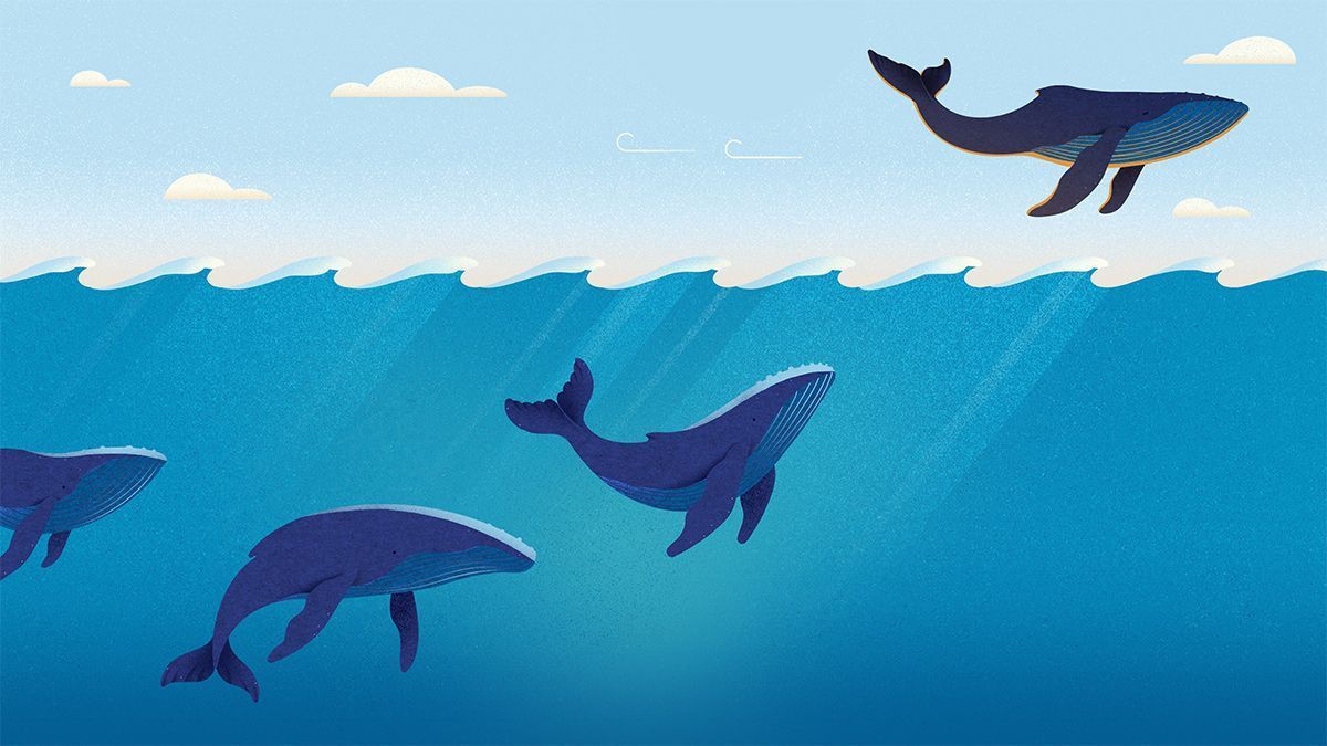 Denise Federer Ph.D. tweet media