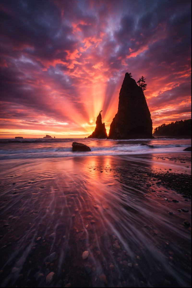 ✞ Daniel tweet media