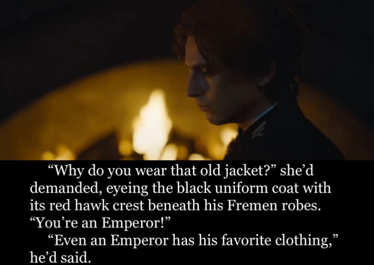 usul 🐭 tweet media