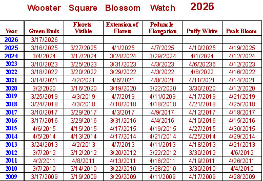 Bart Connors Szczarba tweet media