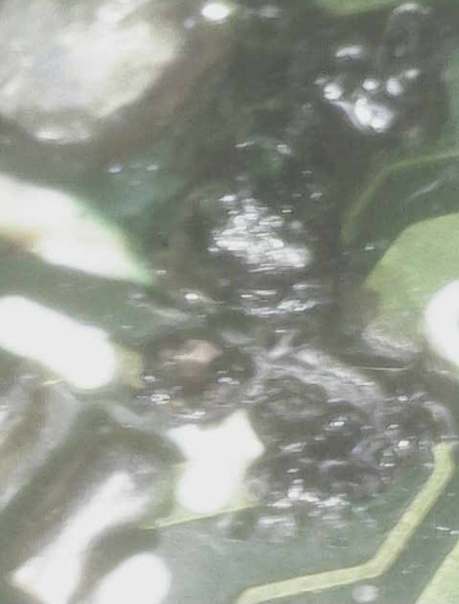 Amiya 🕸️🧵 Retro Vtuber tweet media