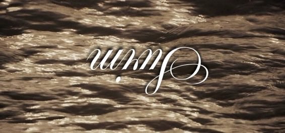 servcuntmin's tweet image. why when you flip swim it looks like it’s spelling out wing #chat am I cooking