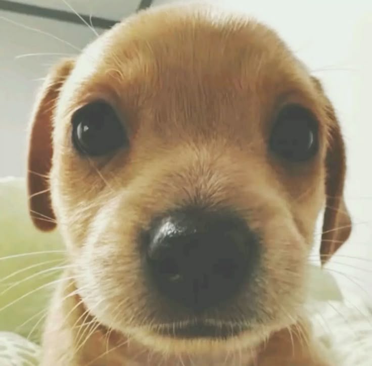 ⋆.𐙚*Lace 𝜗ৎ } tweet media