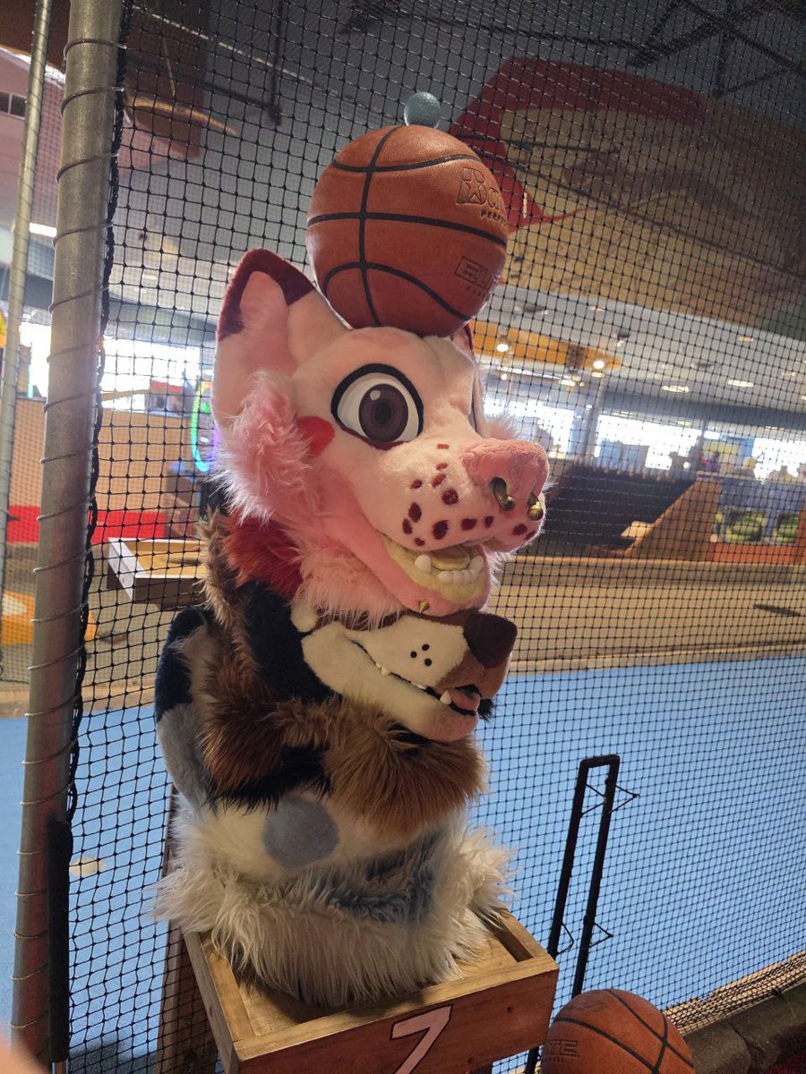 Fountain City Furs tweet media