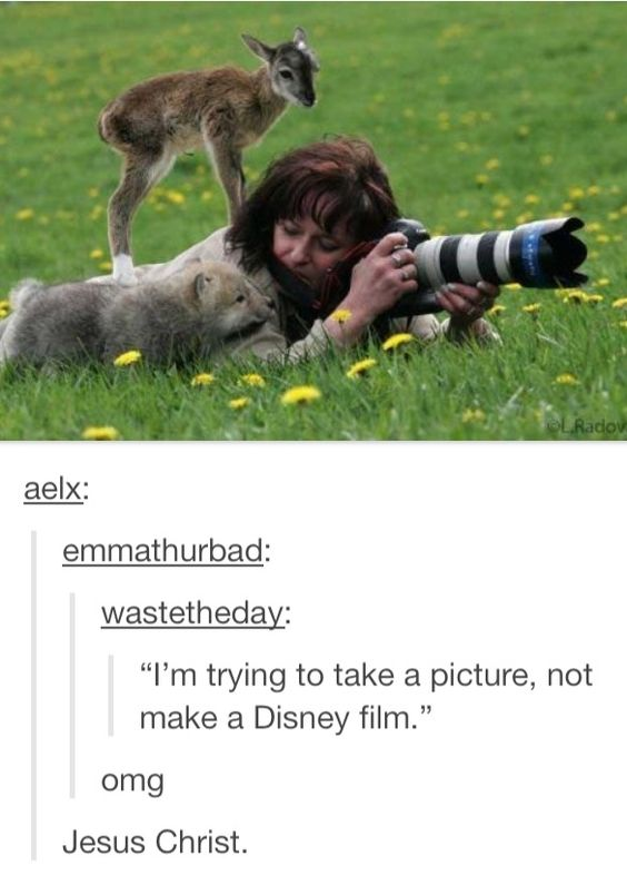 WholesomeMemes tweet media