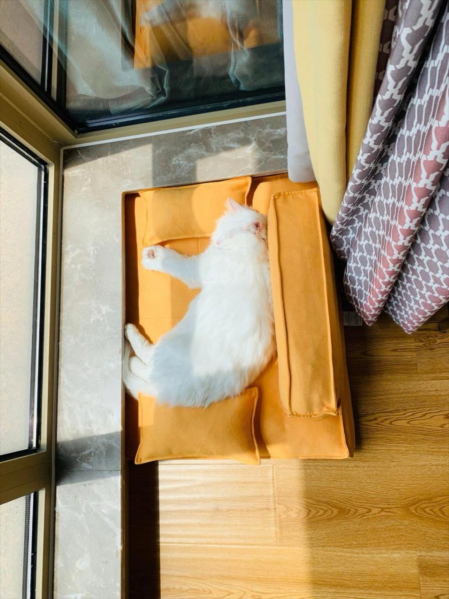 Arina Stepanova1 tweet media